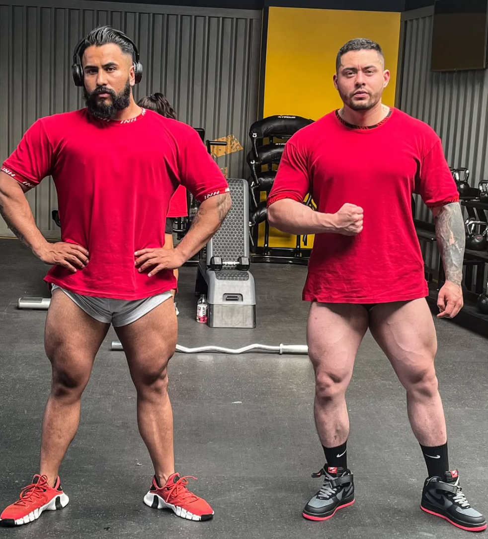 PLAN ÉLITE (12 Meses)